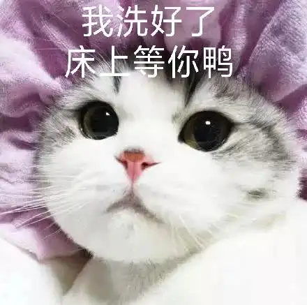 撩小男友必备可爱猫系表情包