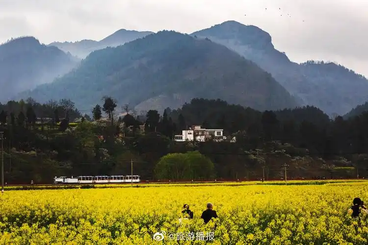 贵州黔南州贵定县,金海雪山_高清图集_新浪网