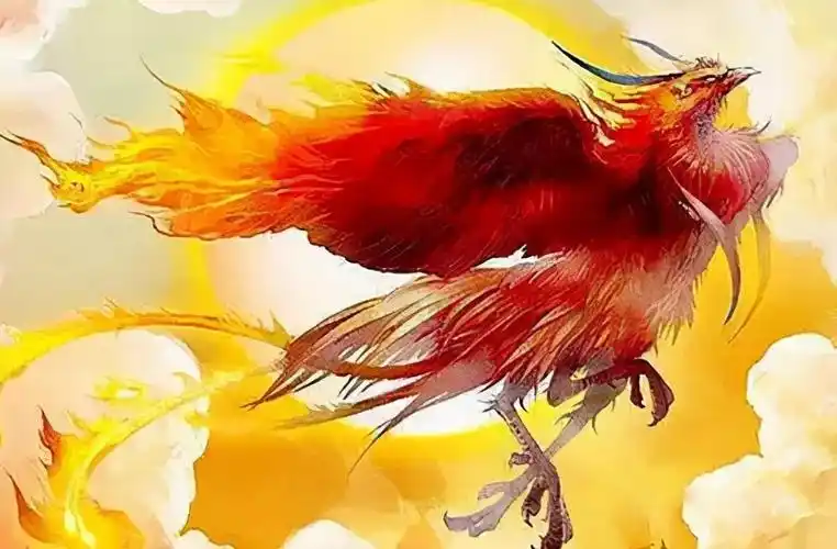 十二星座的宠物神兽