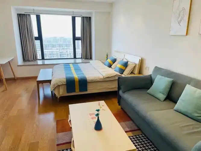 滟澜星座一室一厅宜家清爽装修