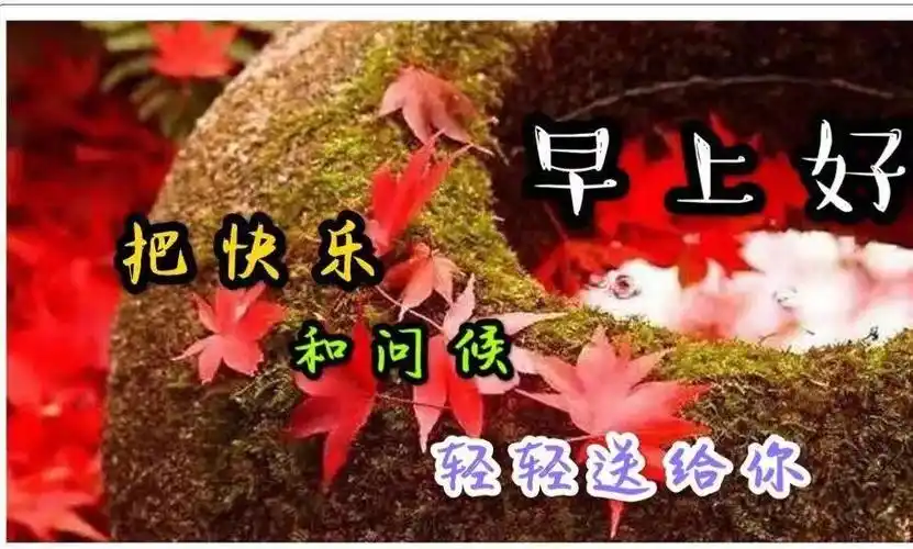 原创2021年最新早上好问候动态图带字 最美早安问候图片带字温馨