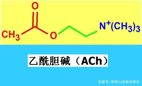 乙酰胆碱
