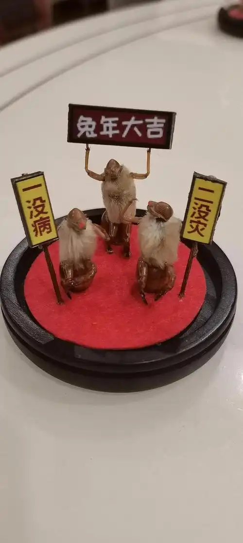 值此新春佳节,各地非遗传承人也用自己的作品为新春献上一份祝福.