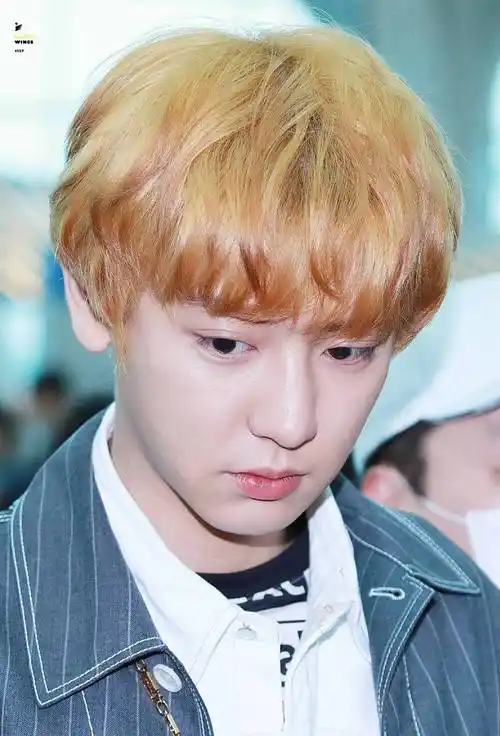 朴灿烈 pcy chanyeol 金发小王子