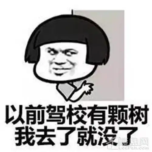 要数下面这位姑娘因为高兴得太早过于自信:考科目二超顺利,在车里来了