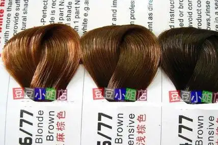 深棕色泰迪毛色变化过程