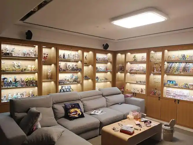 如果亲戚家的孩子看上了你的手办,想带回家,你会怎么办? - 知乎