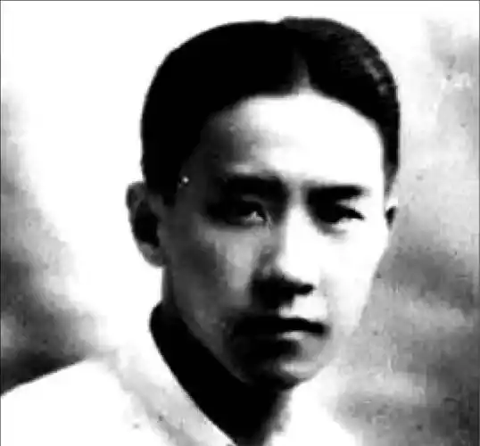 最后一个想当皇帝的人_袁克定_袁世凯_汪精卫