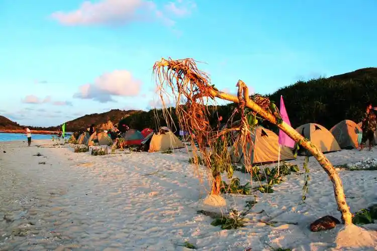 【众智少年】求生技能野外生存挑战-青少年素质教育-杭州众智企业管理