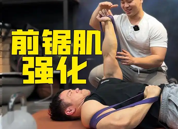 前锯肌训练详解-l蓝色-默认收藏夹-哔哩哔哩视频