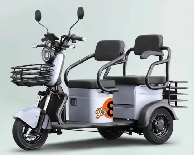 电动三轮车排名前十名 (电动三轮车品牌排行榜前十名)-盆栽百科网