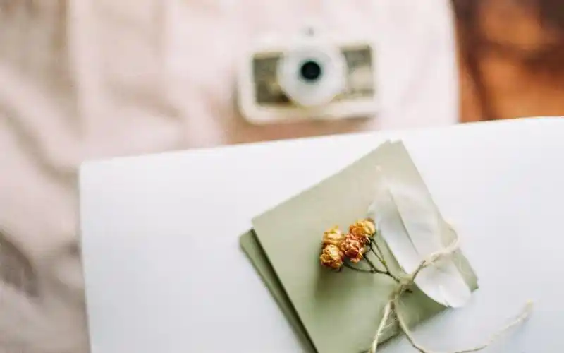 电脑简约唯美静物森系壁纸大图