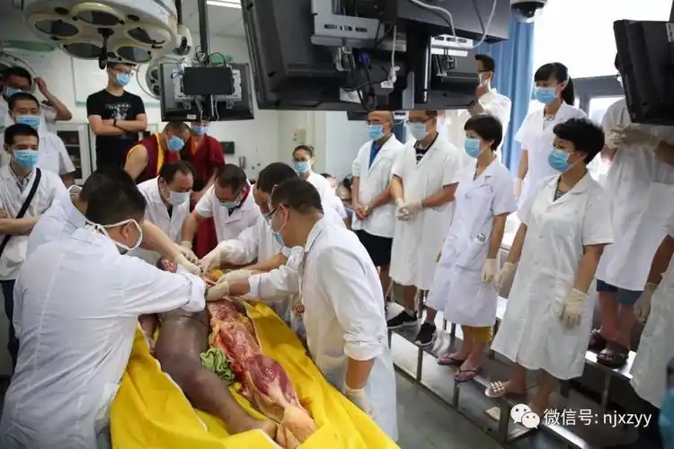 没有解剖学就没有医学2019年1月12日全国第十一届深圳新鲜尸体解剖班