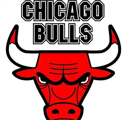 芝加哥公牛队队徽