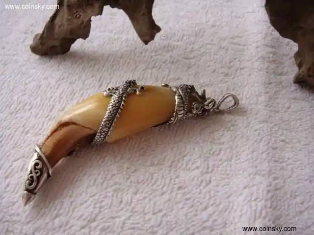 包银熊牙盘龙款