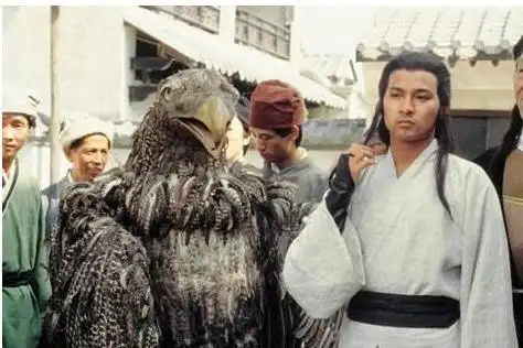 神雕侠侣中那些神奇的雕兄们