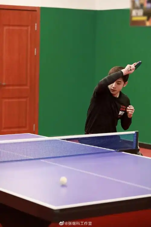 张继科打球帅气十足_高清图集_新浪网