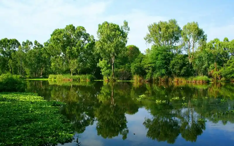 河在夏天壁纸,高清图片,壁纸,自然风景-桌面城市