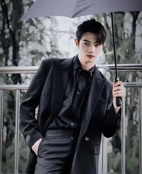 让我康康有多少许凯的粉丝