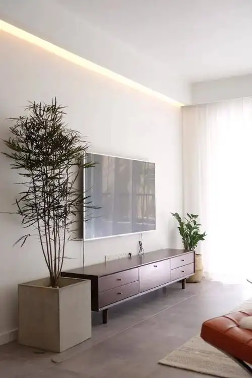 刷乳胶漆的电视墙,简单省钱,也耐看大方!