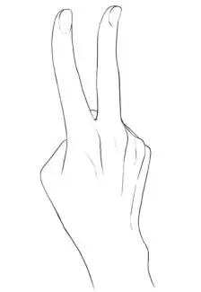 手比耶各种角度