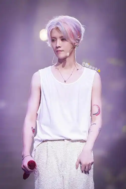 鹿晗用站姐的图发ins##鹿晗彩发自拍