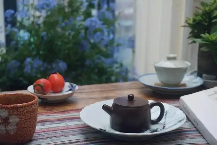 一壶茶一本书阴天的周末在阳光房渡过