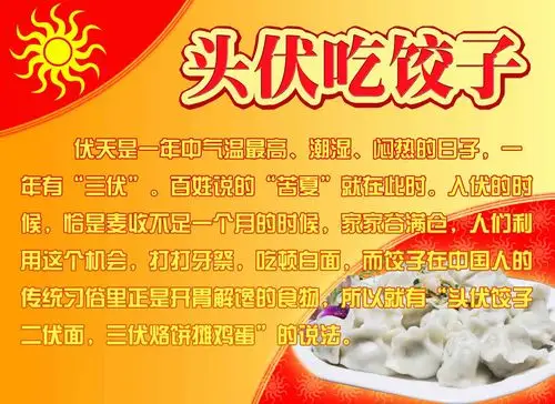 海报印制素材常识其它展板1256头伏饺子写真