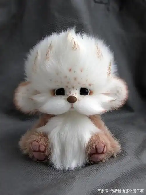 这些小动物们真可爱