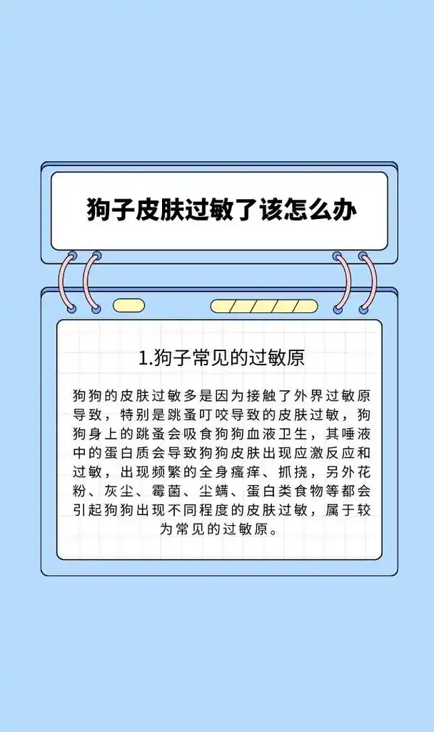 家养的宠物狗皮肤经常会出现过敏现象, - 抖音