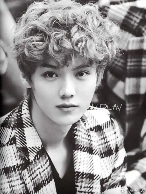 鹿晗最新金色卷发大片太9315了,梦回exo时期的luhan了!