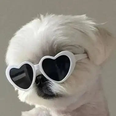 从搞怪头像开始