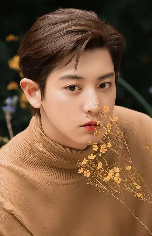 朴灿烈有哪些超级好看的照片毫不掩饰我就是想收图