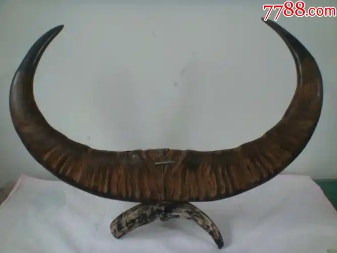 老牛角工艺品摆件