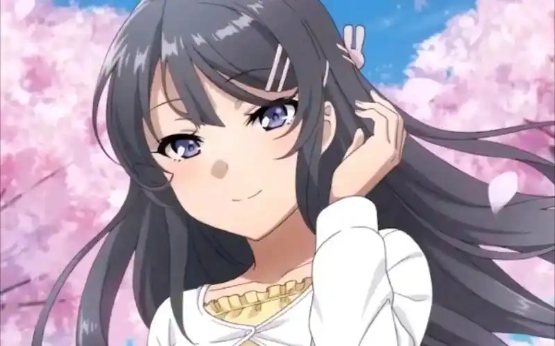 活动作品樱岛麻衣动态壁纸是你们的老婆吗