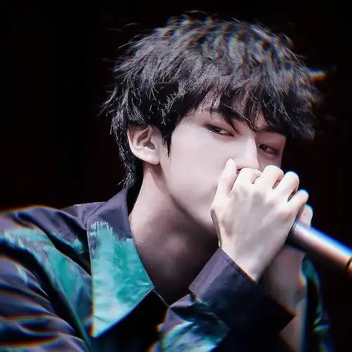 bts爱豆头像>暴崽