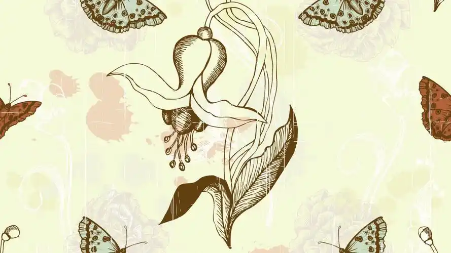 素色花纹背景图片-炫彩壁纸-高清炫彩图片-第15图-娟娟壁纸