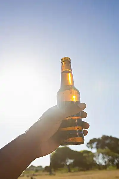 手,男人,拿着,啤酒瓶,公园,晴天