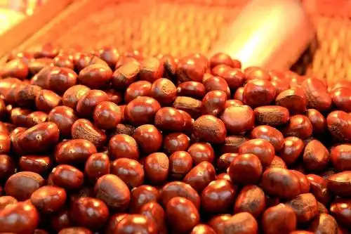 糖炒栗子有营养 减肥者要少吃