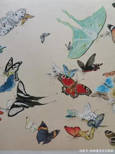 徐伯逸笔下的百蝶图