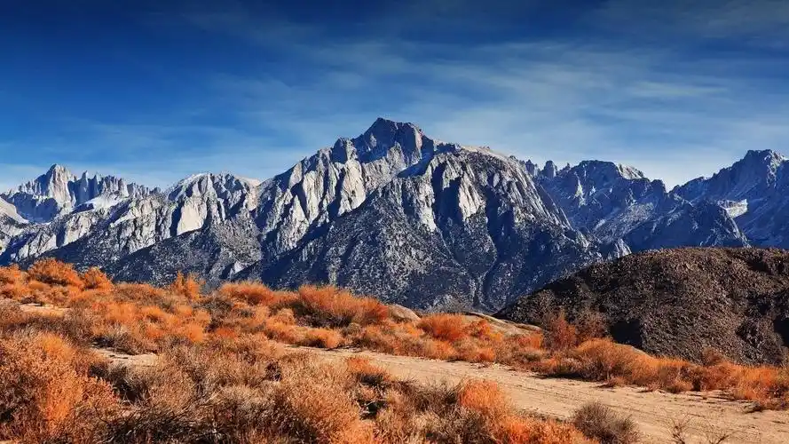 id-931432-雪高山灌木草壁纸高清大图