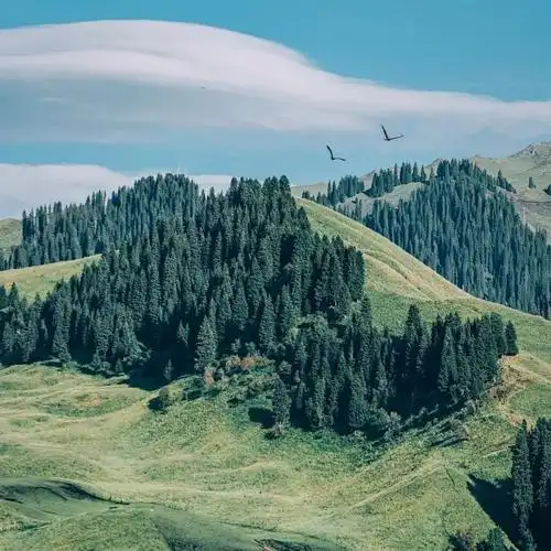 【50张】适合年轻人的绝美风景头像 - 知乎