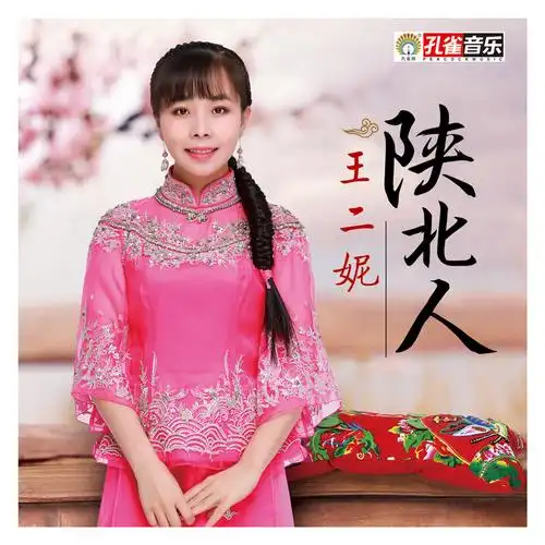 王二妮陕北人伴奏