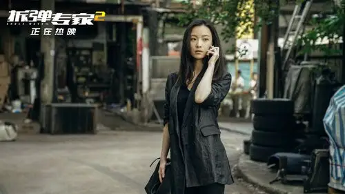 拆弹专家2票房突破11亿密钥延期上映至1月31日