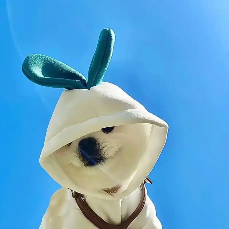 丑萌丑萌头像谁能拒绝呢～##可爱萌图 #可爱搞怪头像 #头像 - 抖音