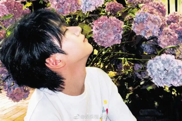 贺峻霖分享自拍配文"我贺峻霖又回来了"|贺峻霖|高考_新浪新闻