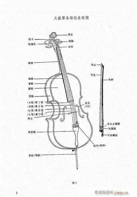 跟我学大提琴 前言-20页