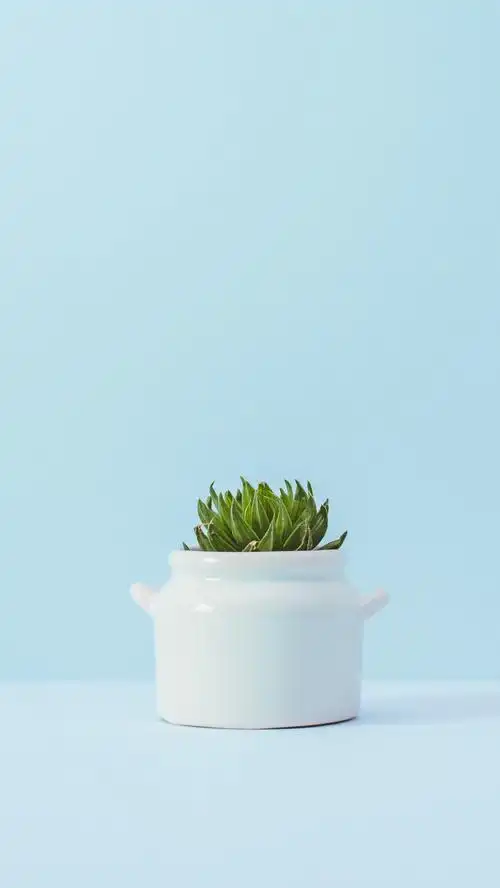 炎炎夏日,简约冷淡风爱壁纸平铺锁屏可爱小清新