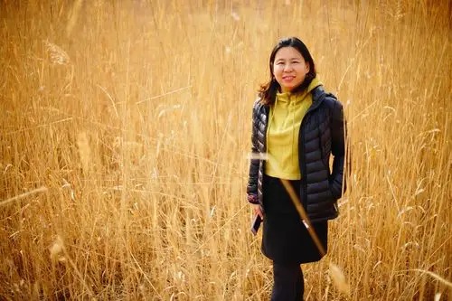 浩瀚芦苇荡 候鸟迁徙 拍出芦苇漫天-深秋帝都野鸭湖 | 2020最火网红