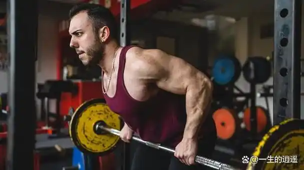 有几十块肌肉帮助构成它的结构,有一些特定的肌肉与健美的v型背部有关